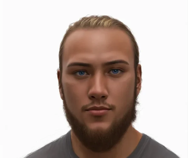 Corporate Strategist